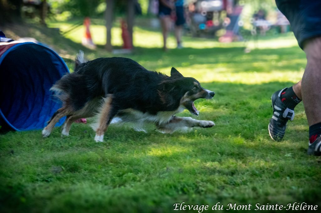 Stage Agility 2024
